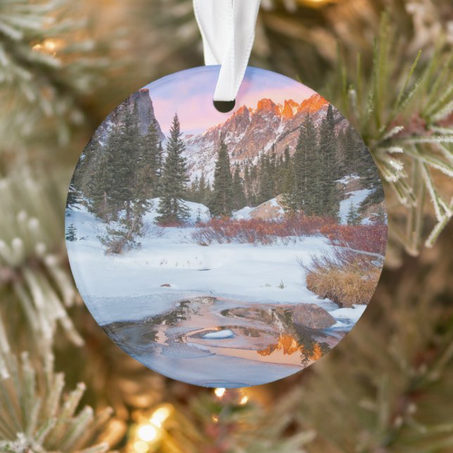 Ice & Snow | Estes Park, Colorado Ornament (Tree)