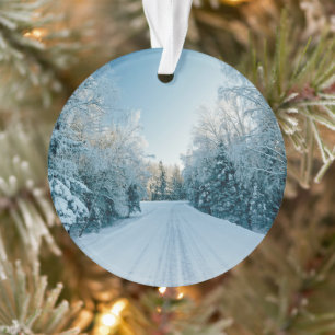 Ice & Snow Frozen Winter Road Russia, Siberia Ornament