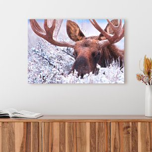 Ice & Snow Grand Teton National Park, Wyoming Canvas Print