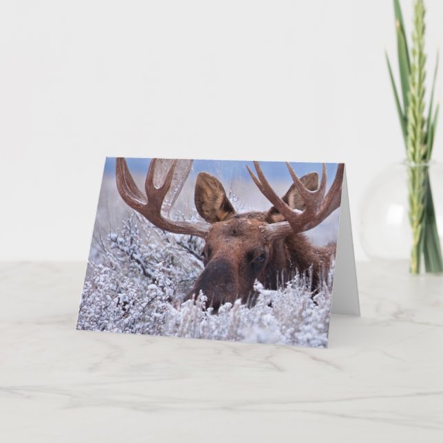 Ice & Snow | Grand Teton National Park, Wyoming Card (Front)