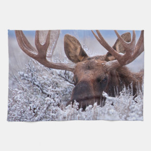 Ice & Snow Grand Teton National Park, Wyoming Tea Towel