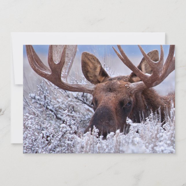 Ice & Snow | Grand Teton National Park, Wyoming Thank You Card (Front)