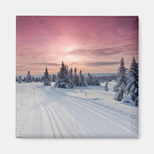 Ice & Snow Lillehammer, Norway Magnet