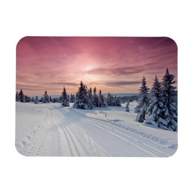 Ice & Snow | Lillehammer, Norway Magnet (Horizontal)