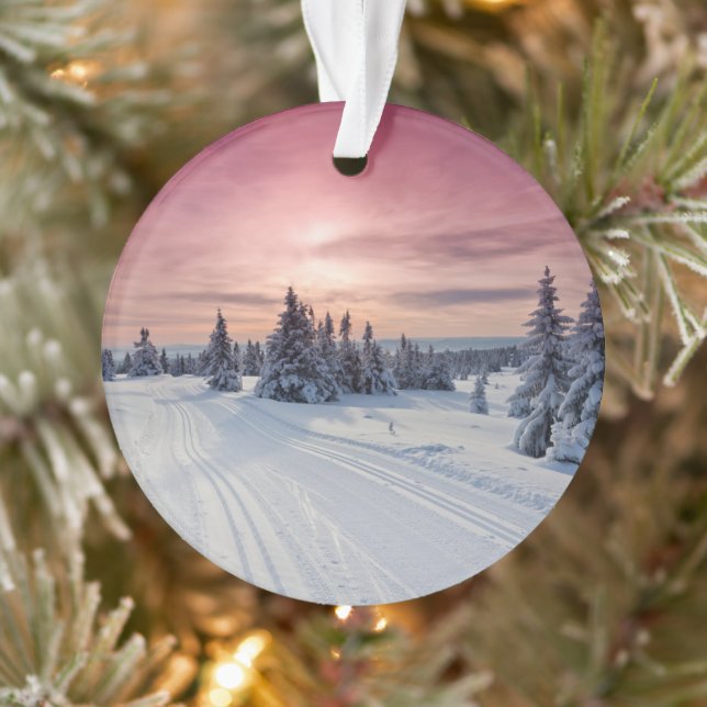 Ice & Snow | Lillehammer, Norway Ornament (Tree)