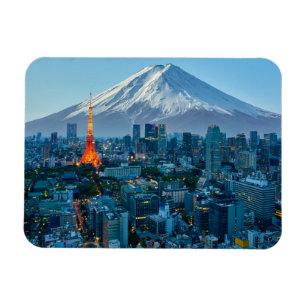 Ice & Snow Mt. Fuji & Tokyo Skyline Magnet