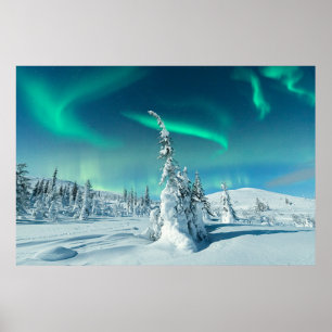 Ice & Snow   Northern Lights, Lapland, Finland Poster