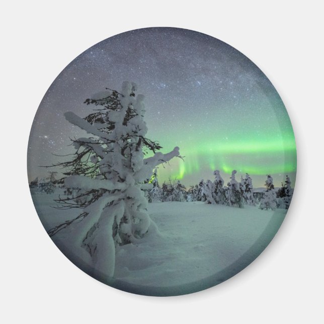 Ice & Snow | Pallas-Yllastunturi National Park Magnet (Front)