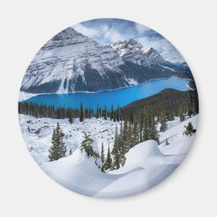 Ice & Snow   Peyto Lake, Canadian Rockies Magnet