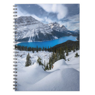 Ice & Snow Peyto Lake, Canadian Rockies Notebook