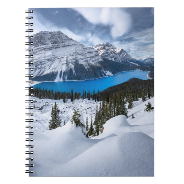 Ice & Snow | Peyto Lake, Canadian Rockies Notebook (Front)
