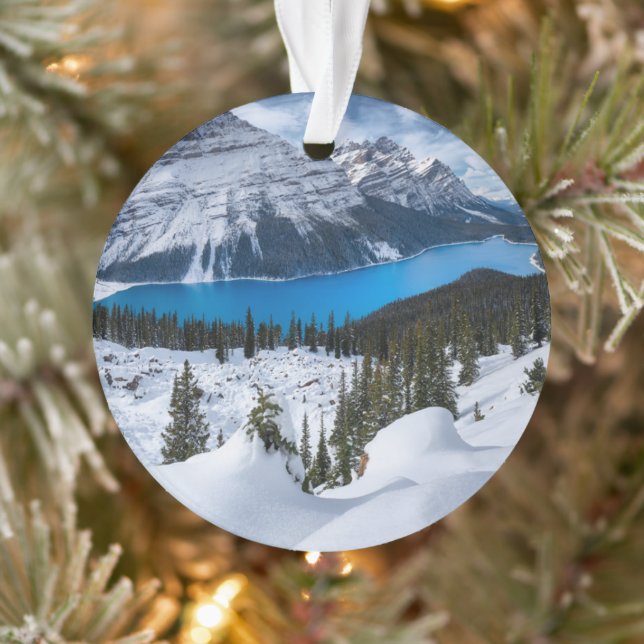 Ice & Snow | Peyto Lake, Canadian Rockies Ornament (Tree)
