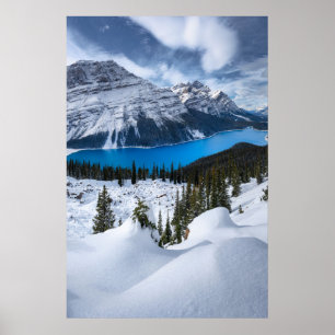 Ice & Snow   Peyto Lake, Canadian Rockies Poster