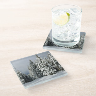 Ice & Snow   Pine Woodland, Austria Glass Coaster