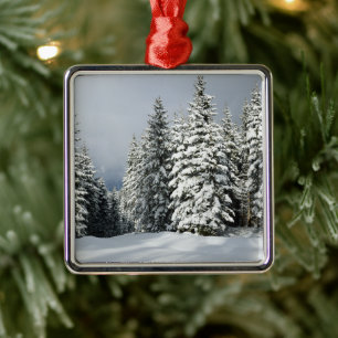Ice & Snow   Pine Woodland, Austria Metal Ornament