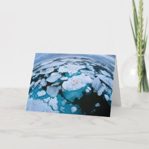 Ice & Snow Polar Bear, Arctic Ocean, Svalbard Card
