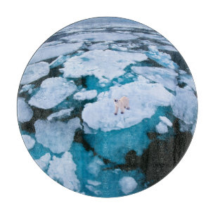 Ice & Snow   Polar Bear, Arctic Ocean, Svalbard Cutting Board