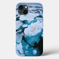 Ice & Snow | Polar Bear, Arctic Ocean, Svalbard