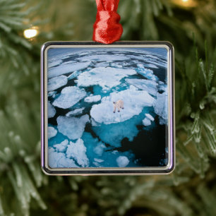Ice & Snow Polar Bear, Arctic Ocean, Svalbard Metal Ornament