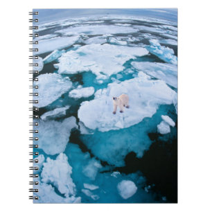 Ice & Snow Polar Bear, Arctic Ocean, Svalbard Notebook