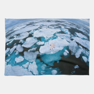 Ice & Snow Polar Bear, Arctic Ocean, Svalbard Tea Towel