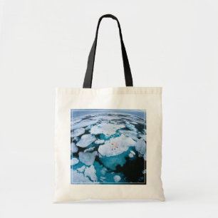 Ice & Snow Polar Bear, Arctic Ocean, Svalbard Tote Bag