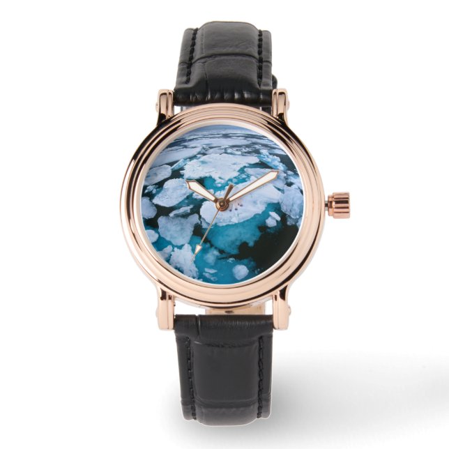 Ice & Snow | Polar Bear, Arctic Ocean, Svalbard Watch (Front)