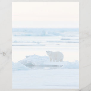 Ice & Snow   Polar Bear Iceberg Norway