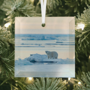Ice & Snow Polar Bear Iceberg Norway Glass Tree Decoration