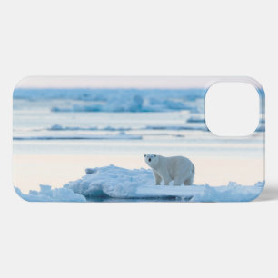 Ice & Snow   Polar Bear Iceberg Norway iPhone 13 Case