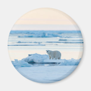Ice & Snow   Polar Bear Iceberg Norway Magnet