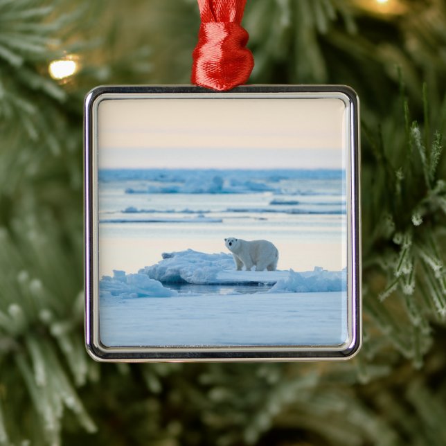 Ice & Snow | Polar Bear Iceberg Norway Metal Ornament (Tree)