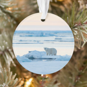 Ice & Snow   Polar Bear Iceberg Norway Ornament