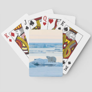 Ice & Snow   Polar Bear Iceberg Norway Playing Cards