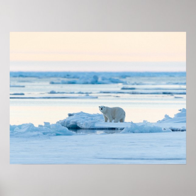 Ice & Snow | Polar Bear Iceberg Norway Poster (Front)