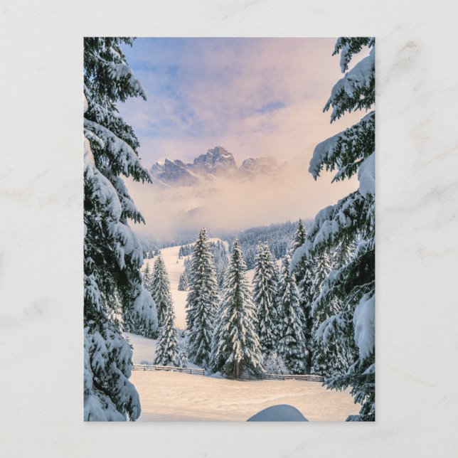 Ice & Snow | Rosengarten, Germany Postcard (Front)