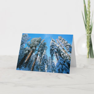 Ice & Snow Sequoia National Park, California Card