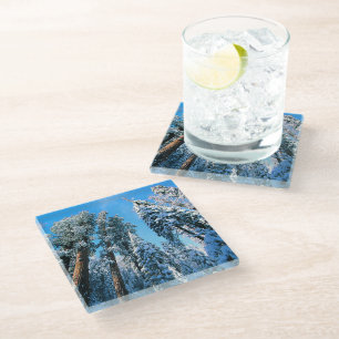 Ice & Snow Sequoia National Park, California Glass Coaster