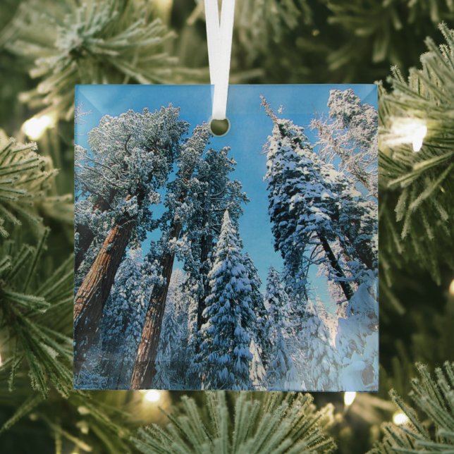 Ice & Snow | Sequoia National Park, California Glass Tree Decoration (Insitu)