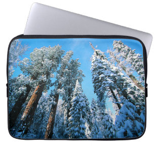 Ice & Snow Sequoia National Park, California Laptop Sleeve