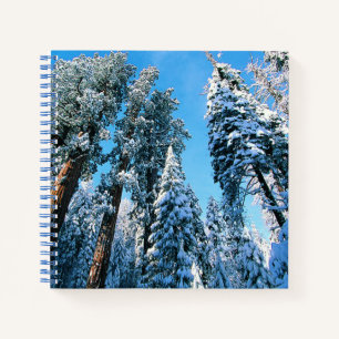 Ice & Snow Sequoia National Park, California Notebook