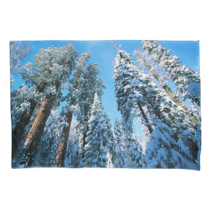 Ice & Snow   Sequoia National Park, California Pillowcase