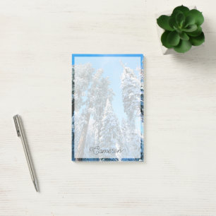 Ice & Snow   Sequoia National Park, California Post-it Notes