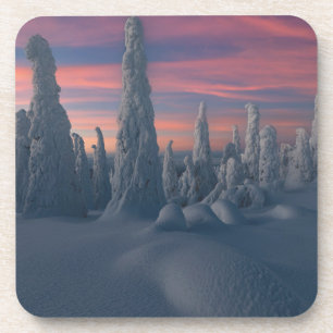 Ice & Snow   Snow Covered Trees, Lapland, Finland Coaster