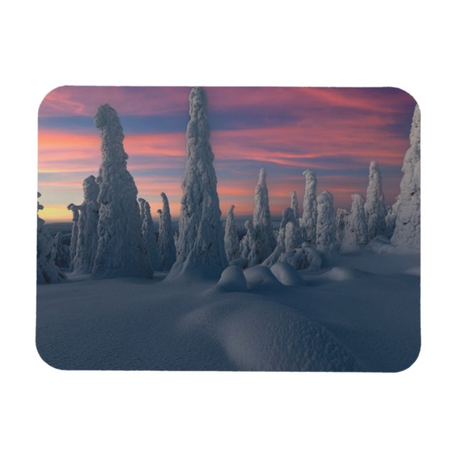 Ice & Snow | Snow Covered Trees, Lapland, Finland Magnet (Horizontal)