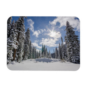 Ice & Snow   Sunrise Winter Snow Alberta, Canada Magnet