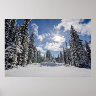 Ice & Snow   Sunrise Winter Snow Alberta, Canada Poster