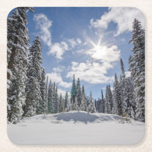 Ice & Snow   Sunrise Winter Snow Alberta, Canada Square Paper Coaster