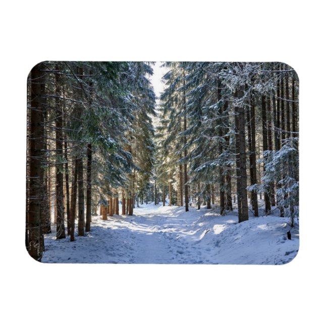 Ice & Snow | Tatra Mountains, Poland Magnet (Horizontal)