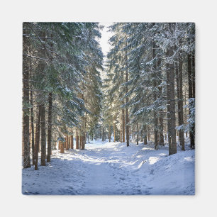 Ice & Snow Tatra Mountains, Poland Magnet